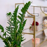 Black Pearl Loft Apartamento