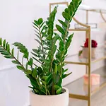 Black Pearl Loft Apartamento
