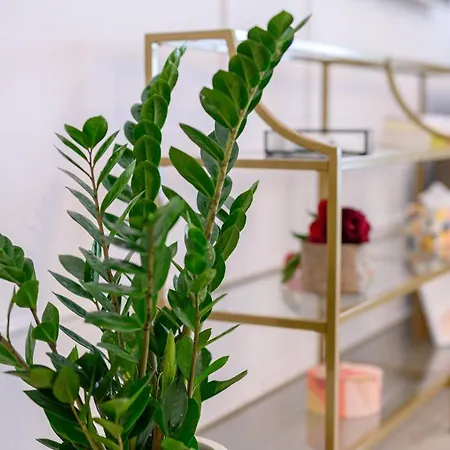 Black Pearl Loft Apartman