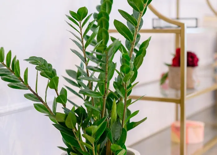 Black Pearl Loft Apartament